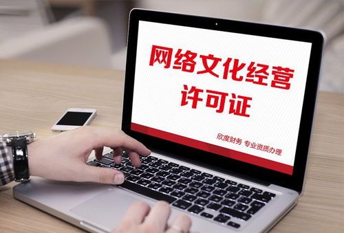 代辦上海網(wǎng)絡(luò)文化經(jīng)營(yíng)許可證（網(wǎng)絡(luò)表演類(lèi)）費(fèi)用詳解與辦理指南